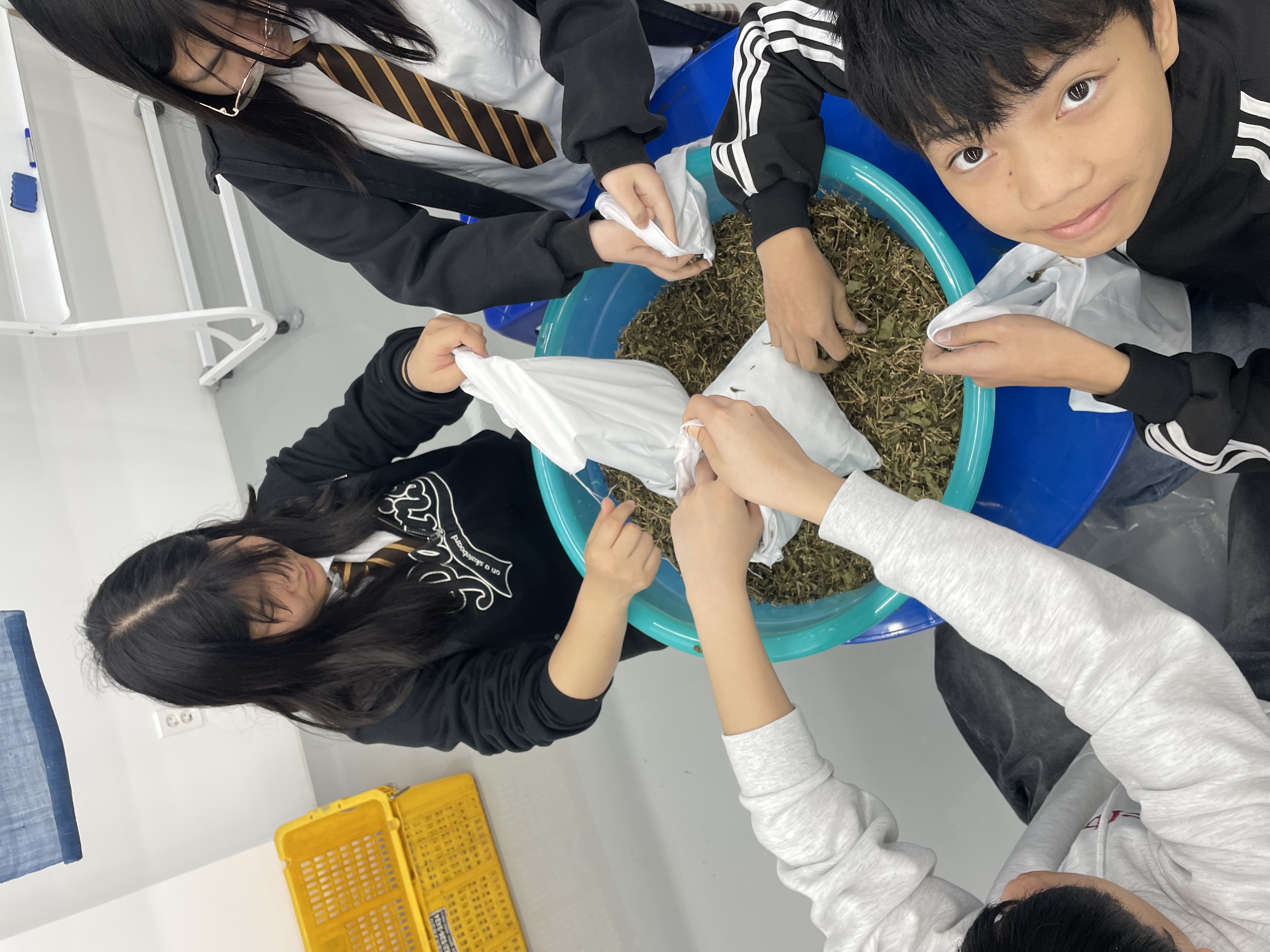 2026. 3보향의 얼 잇기체험