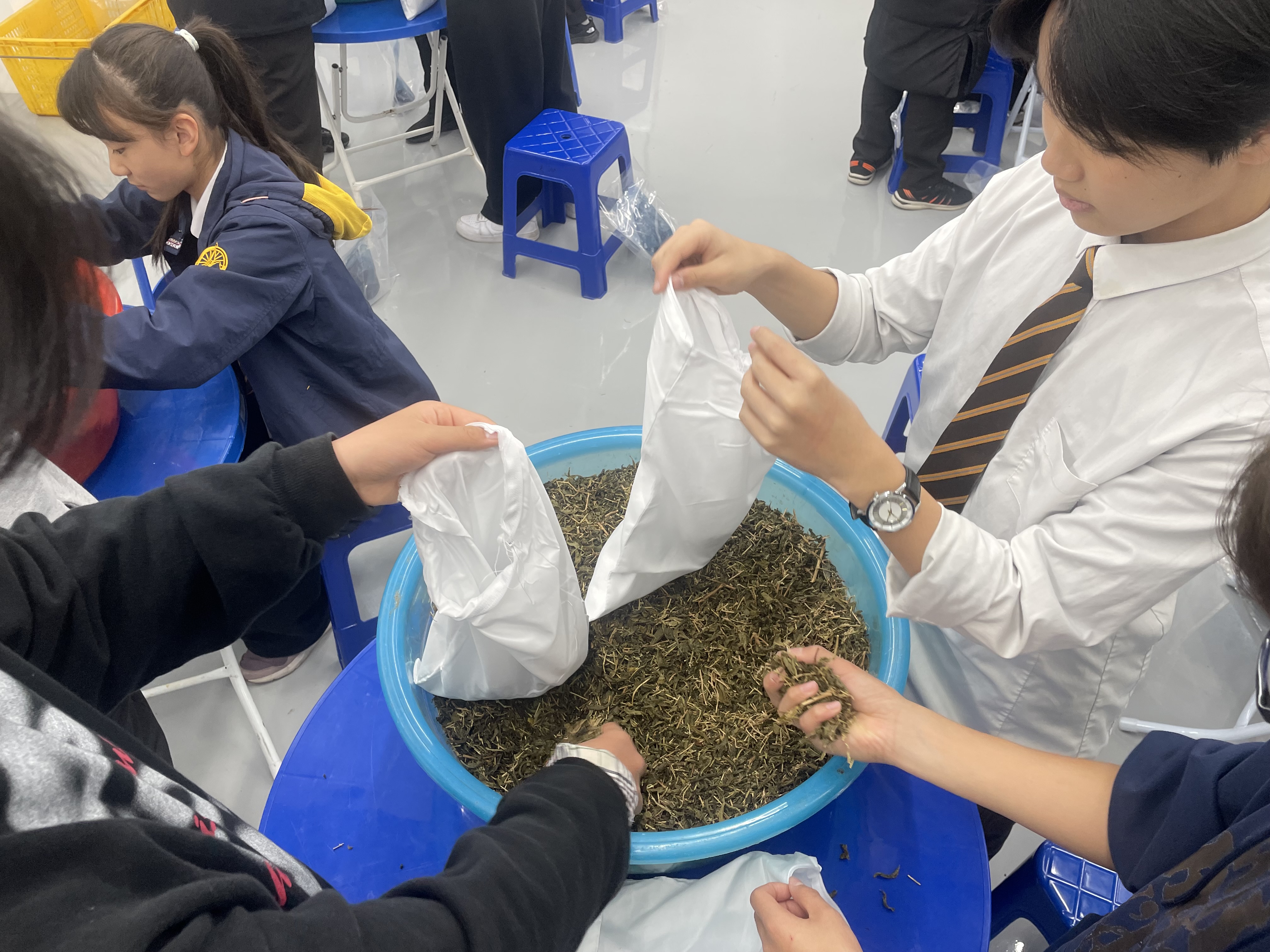 2026. 3보향의 얼 잇기체험